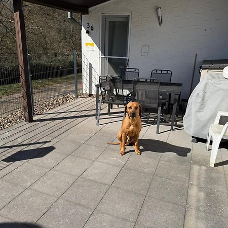 Biersdorf Ferienhaus Stausee Bitburg מראה חיצוני תמונה