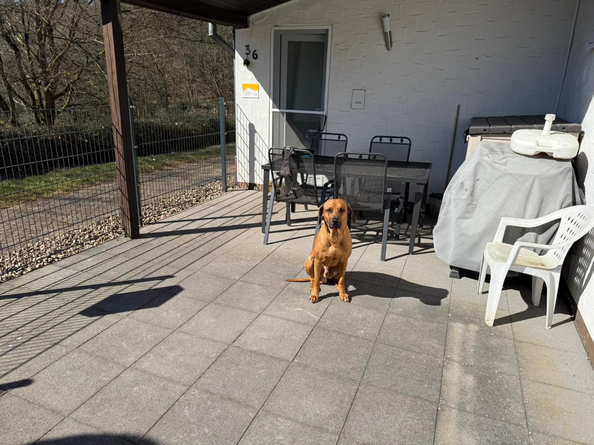 Biersdorf Ferienhaus Stausee Bitburg מראה חיצוני תמונה
