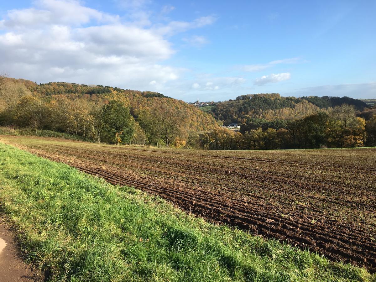 Biersdorf Ferienhaus Stausee Bitburg מראה חיצוני תמונה
